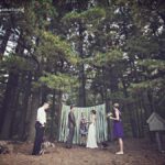 Private elopement in the woods with dogs